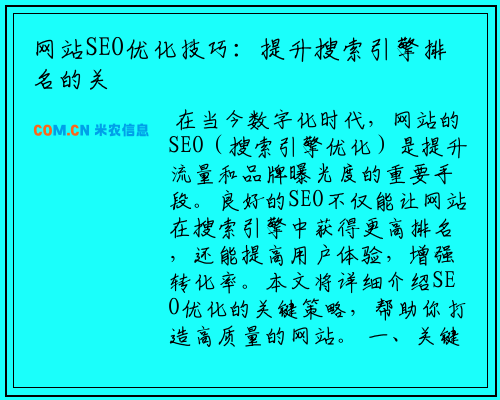 网站SEO优化技巧：提升搜索引擎排名的关键策略